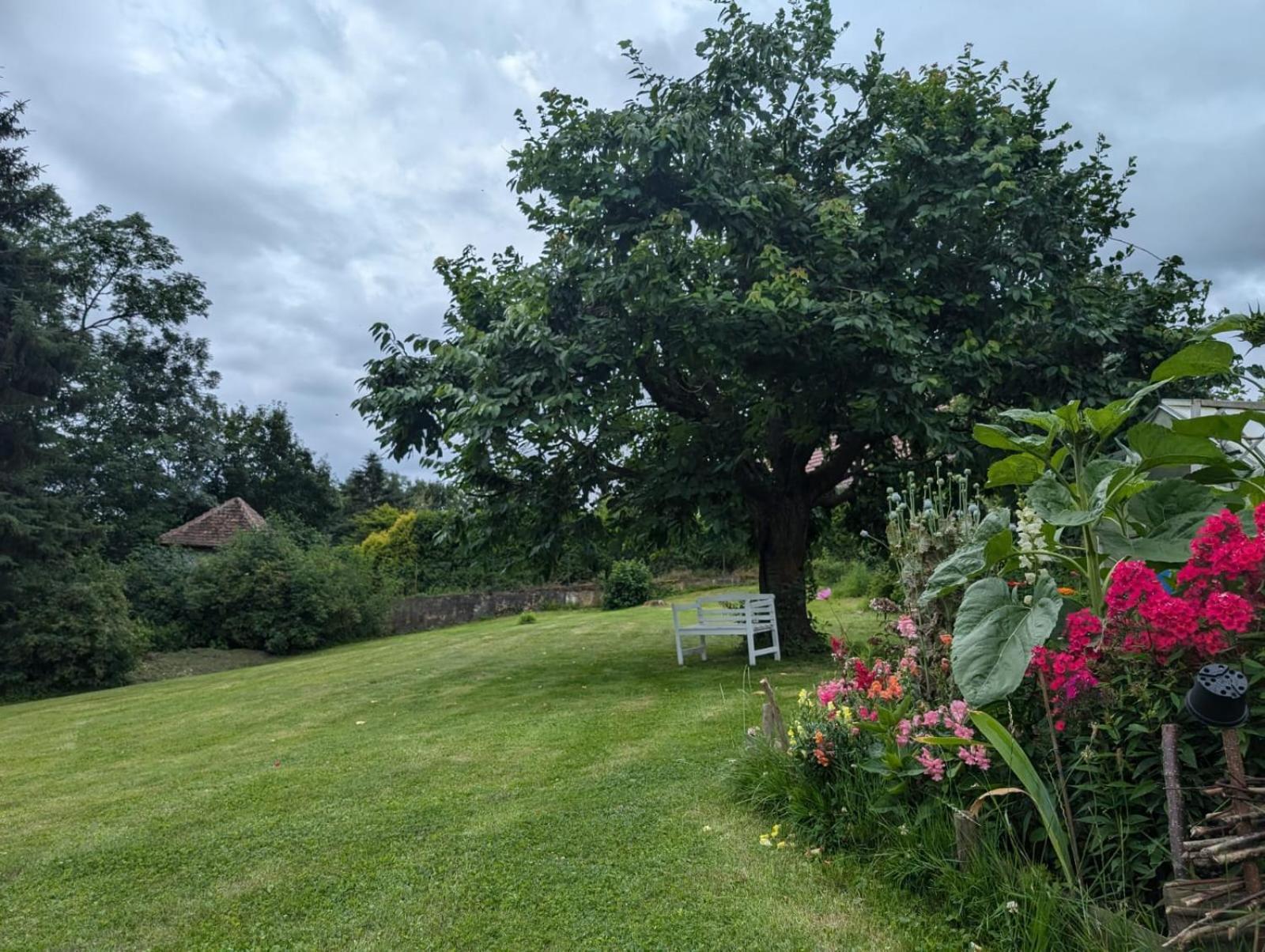 Ferienwohnung Janke Nossen Exteriér fotografie
